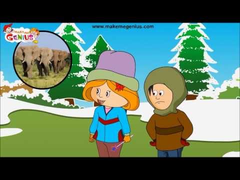 Migration of Birds , Animals for Kids -Lesson