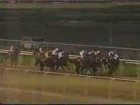 1996 Dubai World Cup (Jim McGrath commentary)