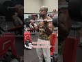 NO SUCH THING AS MUSCLE CONFUSION GET BIG ARMS #damianbaileyfitness #barbellcurls #getbigarms
