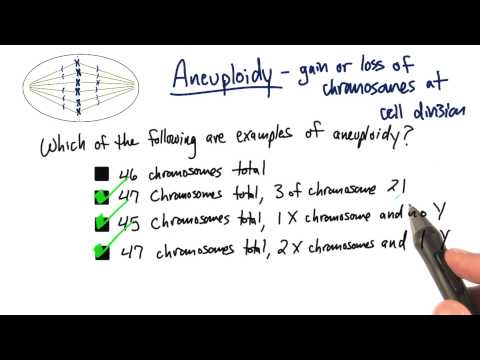Aneuploidy - Tales from the Genome