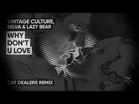 Vintage Culture, Selva, Lazy Bear - Why Don't U Love (Cat Dealers Remix)