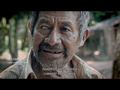 Presentación Plutarco - Testigo de otro mundo