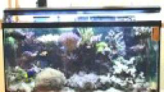 Sunlight Supply Tek T5 Fixture Demo