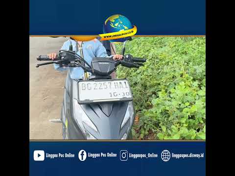 PPPK Paruh Waktu Puskesmas di Lubuk Linggau Dibegal