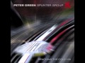 Peter Green Splinter Group - It Takes Time 