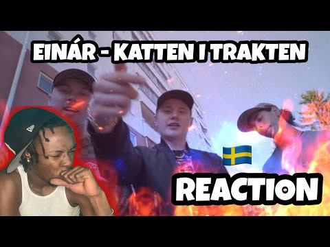 AMERICAN REACTS TO SWEDISH DRILL RAP! Einar - Katten i trakten (ENGLISH LYRICS)