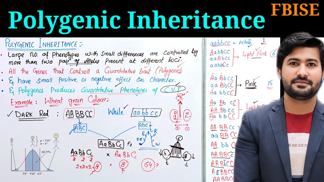 Polygenic inheritance and continuous varying traits FBISE class 12