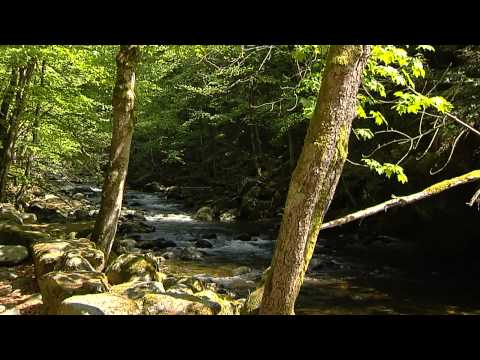 Der Bayerische Wald TVO 2010 HD