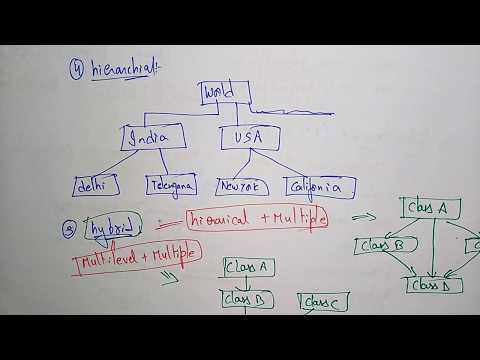 Inheritance and Polymorphism | OOPs in C | Lec 4 | Bhanu Priya