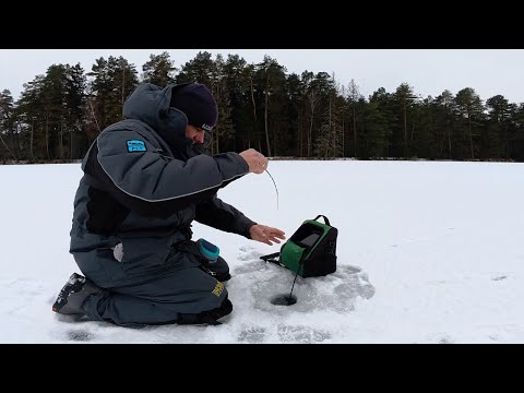 OKONIOWE ŻNIWA !!! To takie proste ???