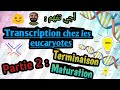 Biologie moléculaire En Arabe, Transcription Chez les Eucaryote , SVI S5 Partie 2
