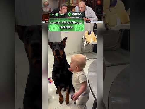 ЗАСМЕЯЛСЯ-ПОДПИСАЛСЯ Ч.023😂🤣😅