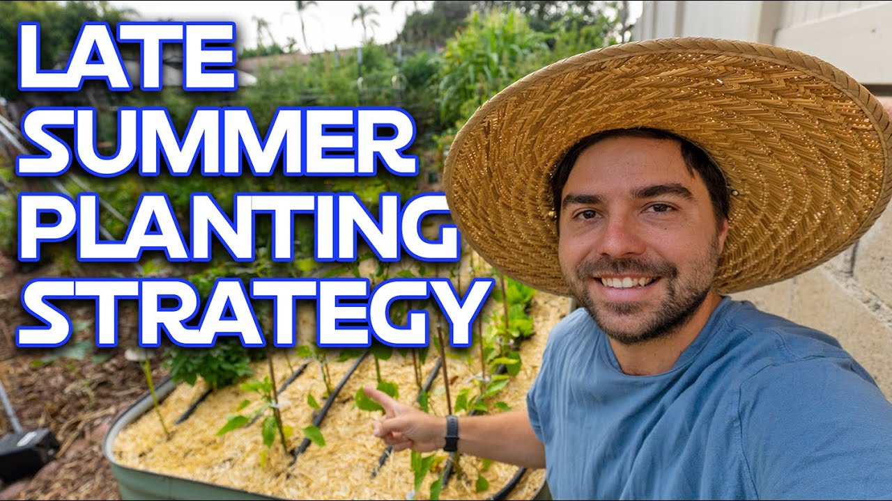 What I Am Planting In August & How I Defeated Powdery Mildew