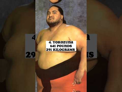 Top 10 Heaviest Wrestlers Of All Time )#shorts #wwe #wweshorts #youtubeshorts #yokozuna