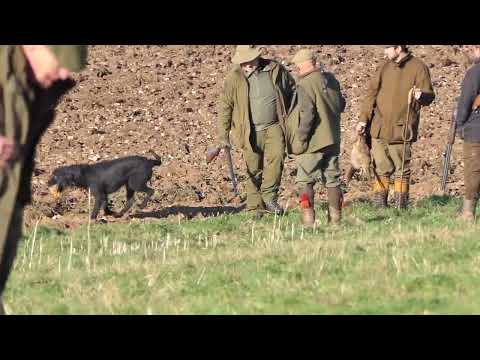 Shotaway Films Game Shooting.Rogues Gallery.FHD 1080p