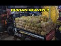 Ucok Durian Medan | Unboxing A Truck of Durian Indonesian Street Food Ucok Durian Medan | Unboxing A Truck of Durian Indonesian Street Food