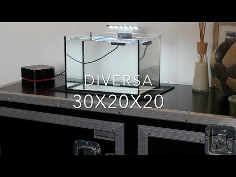 Watch Video on YouTube