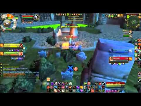 MM hunter & Assassination rogue 2's