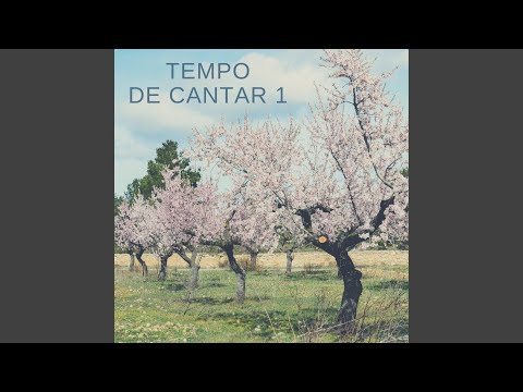 Santo é o que está no trono