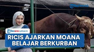 Ria Ricis Kurban Sapi Berbobot Hampir 1 Ton di Idul Adha 2026, Ajarkan Makna Ibadah ke Moana Anaknya
