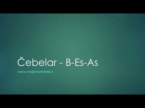 ČEBELAR - Spremlava za harmoniko (mojansambel.si)