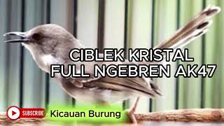 Download lagu MASTERAN CIBLEK KRISTAL NGEBREN PANJANG mp3