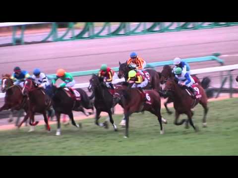 2015　ホープフルS　ハートレー