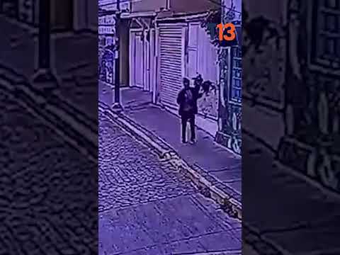 Turista fue atacado por jauría de perros en Valparaíso
