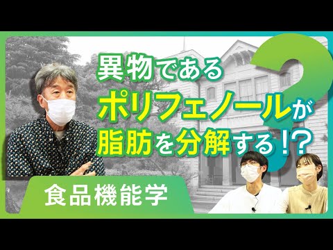 人間環境学科 【学問小話】食品機能学：なぜポリフェノールは脂肪を分解できるのか？（村上明　兵庫県立大学環境人間学部）