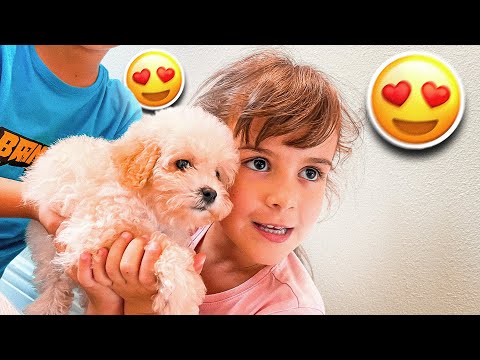 NOVA INTEGRANTE DA FAMÍLIA BRANCOALA ❤️ 🐶