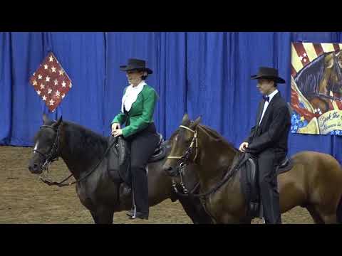 Celestial del Encanto - 2017 Paso Fino Nationals Performance Junior Youth 13-17 Championship