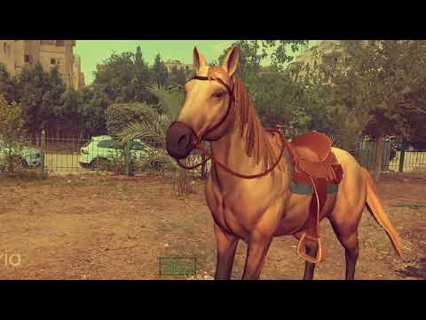 Lara Adventures Horse Scene