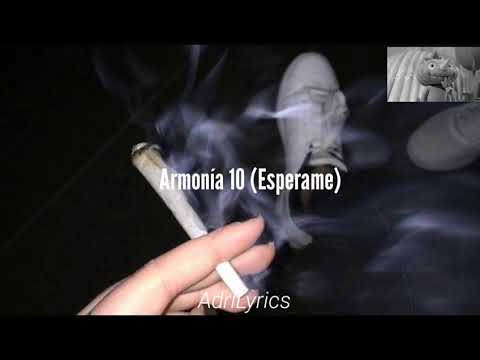 Armonia 10 Esperame (Letra)