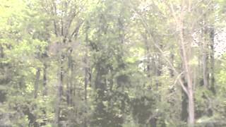 &quot;Sleep Won&#39;t Come&quot;  MarkFitzgerald03.com