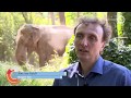Dieren laten zich zien in gesloten dierentuin