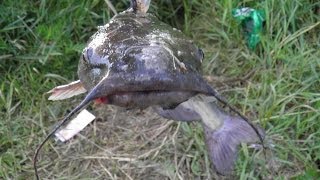 Рыбалка на муромском озере карелия