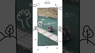 推しに会うために相棒とおでかけ｜2025年2月の旅