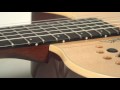 Godin Multiac How To Choose