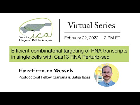 CICA Virtual Seminar Series- Hans-Hermann Wessels- 02/22/2022