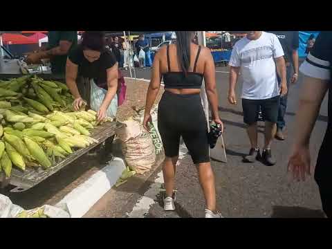 Feira de domingo em Marília, interior de São Paulo 