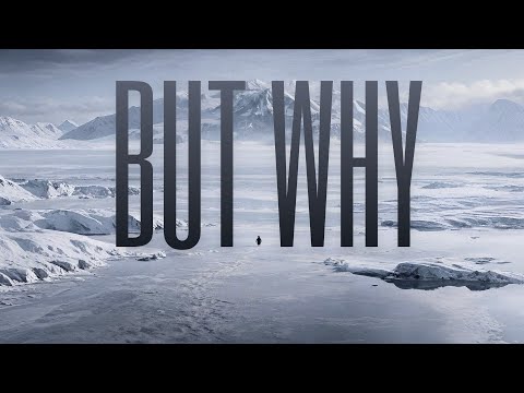 The Nihilist Penguin