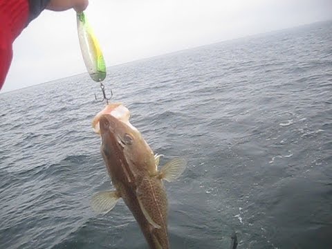 Schlauchboot Trolling auf der Ostsee 31.01.15 vor Damp
