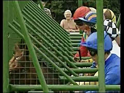 1996 Juddmonte International Stakes
