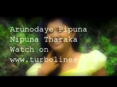arunodaye pipuna sinhala video from nipuna tharaka