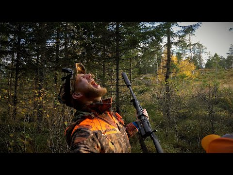 Ta med deg en - Ep. 5 - Elgjakt med løshund!