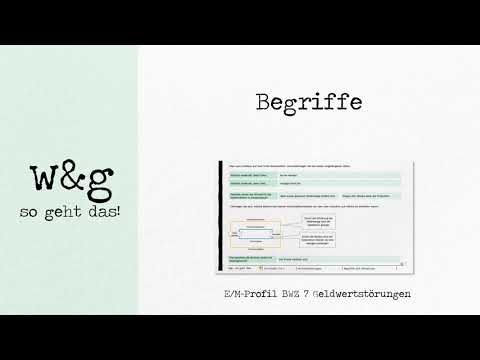 GWZ 7 Monetary Disturbances #1 Definition and Terms