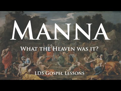 Manna - What the Heaven was it?