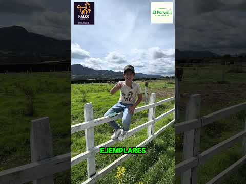 Razones para traer tu 🐴 a las @pesebreras_el_porvenir en Tenjo - Cundinamarca.