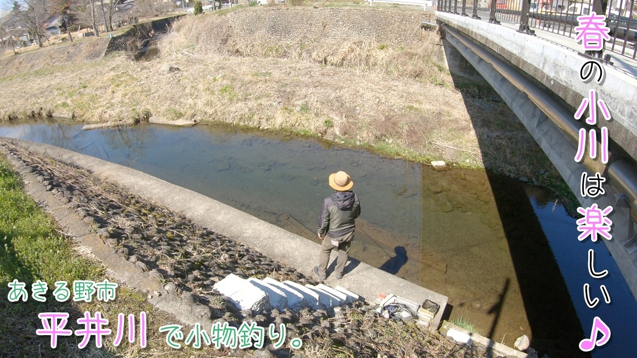 春の小川は楽しい～♪  いよいよ暖かくなってきましたね♪  あきる野市 平井川で小物釣り。