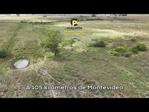Cialceta Propiedades | Venta de Campo de 13 hectáreas en Ombúes de Bentancor, Lavalleja